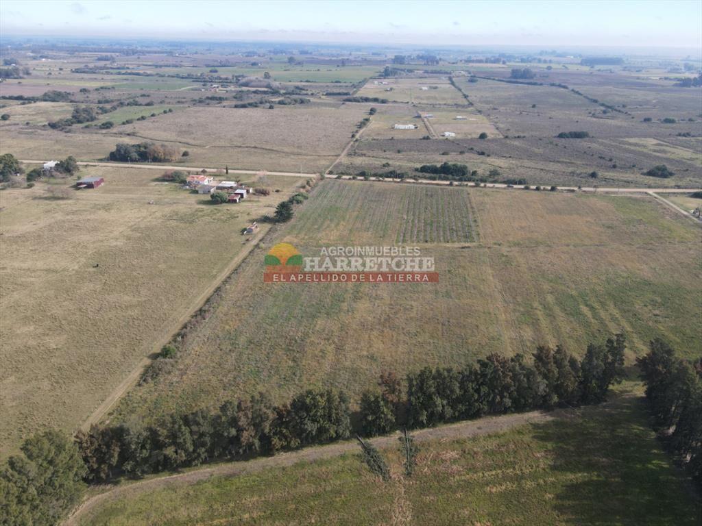 Chacra de 3 has en Los Cerrillos, a pasitos del