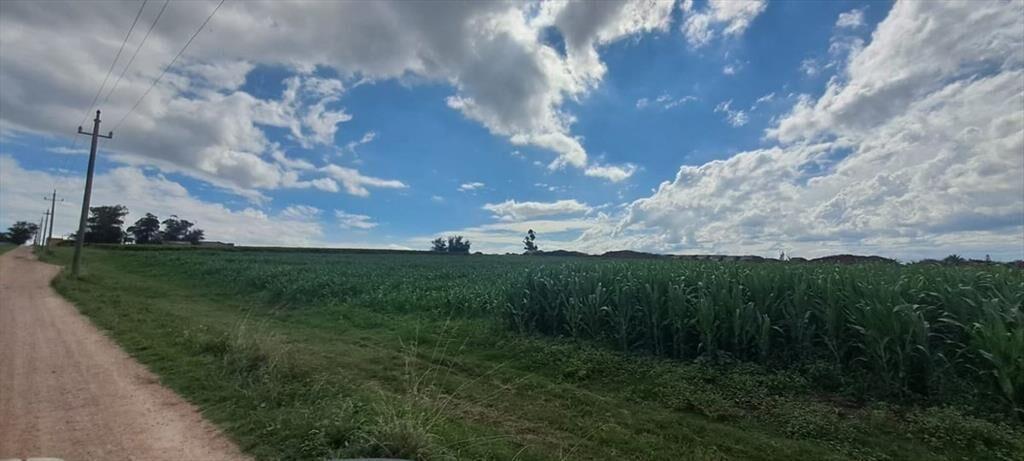Venta terreno logístico industria Bajo la Petisa