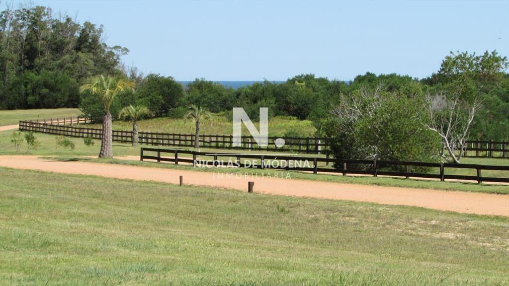 Terreno en venta en Las Garzas.