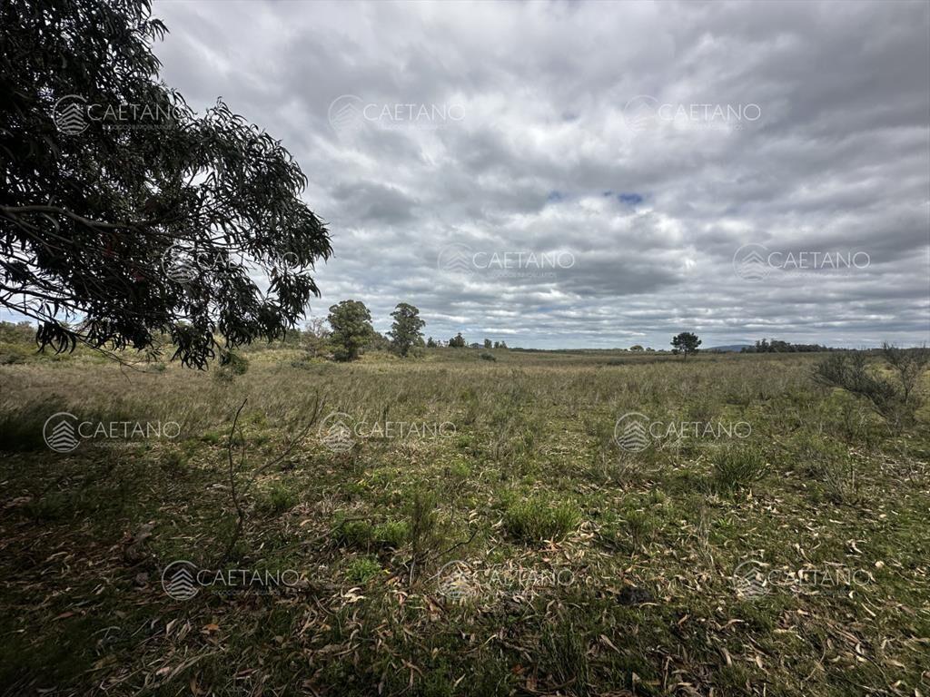 Venta chacra km 116 ruta 9. Cerca de Pan de
