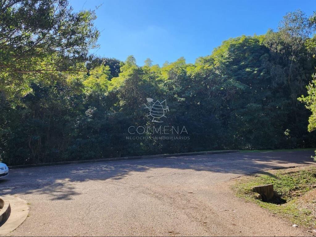 Terreno de 4226 m2, en Las Cumbres- Punta