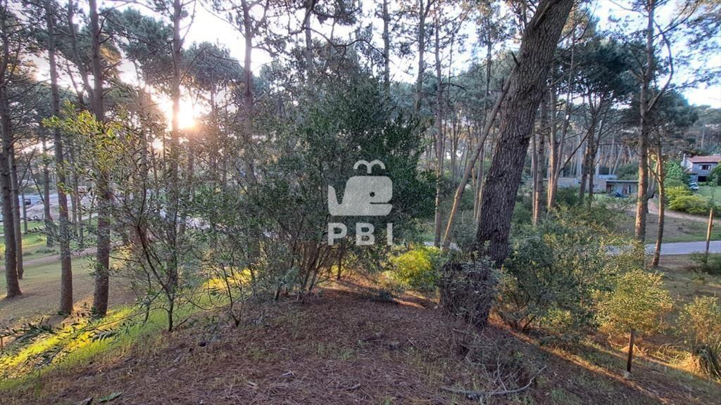 Venta de lote en Club del Lago - Ref : PBI2841
