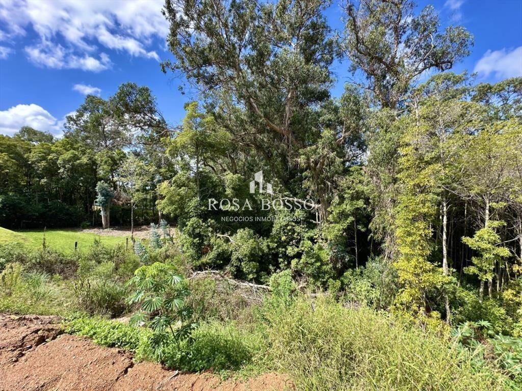 Terreno en Venta Punta Ballena, 1130 m2