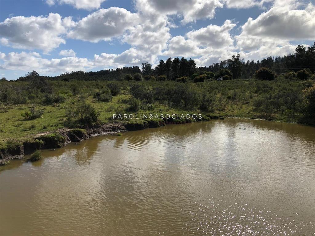 Campo en venta excelente lugar