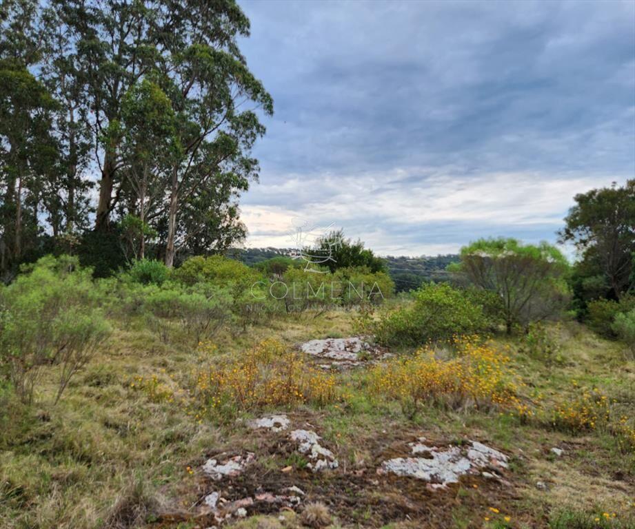 Venta chacra zona La Pataia, Punta Ballena