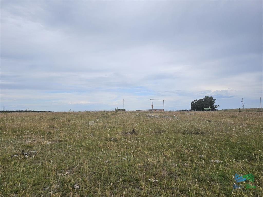 En venta chacra 3 hectareas, proxima ruta 39, a