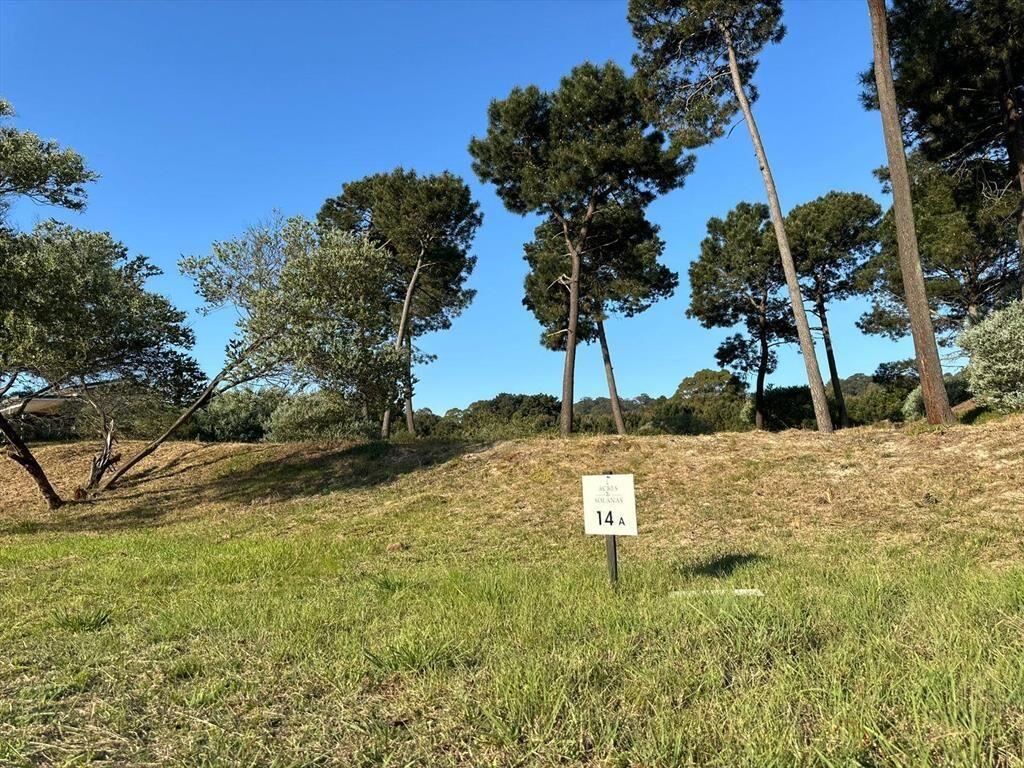Exclusivo lote en Laguna del Sauce y cerca del mar, junto a