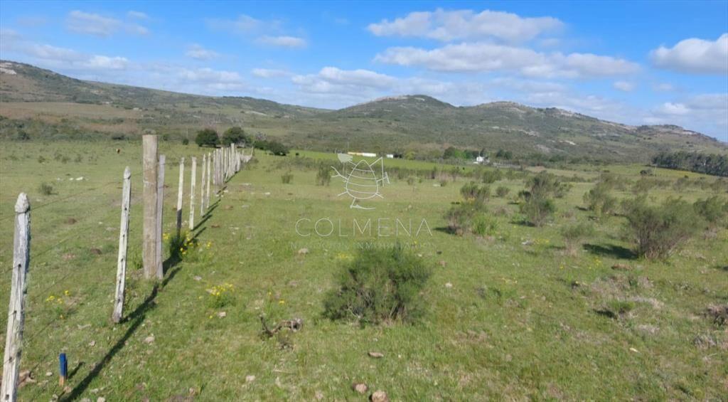 Campos de 6 y 5 has en los Caracoles 35 minutos