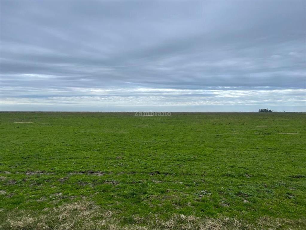 Estancia Ganadera Agrícola en Lavalleja