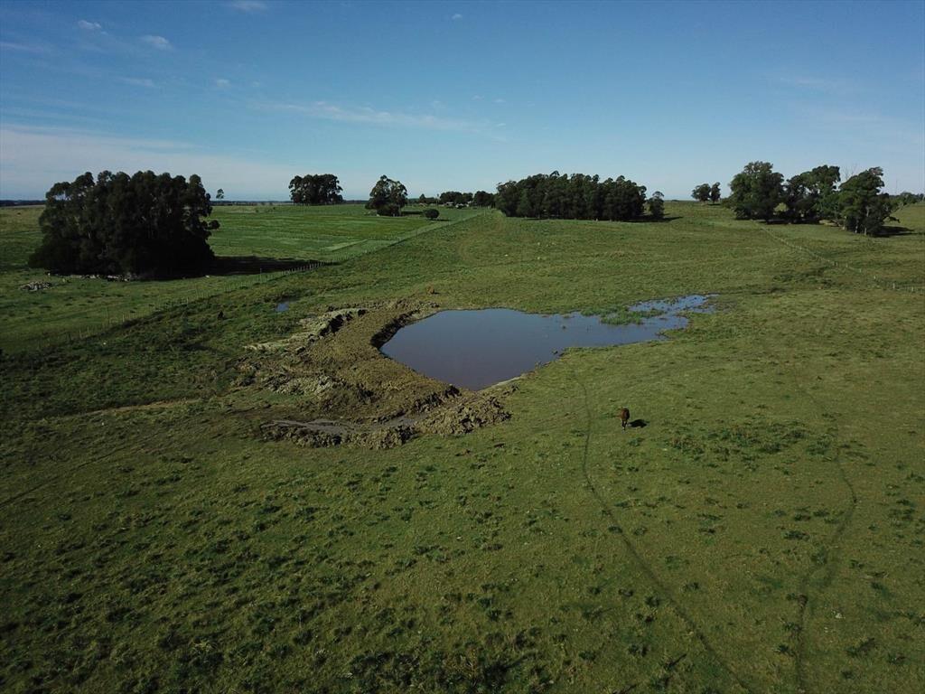 Chacra de 10 ha en venta en Garzón a 15 minutos de José Ign