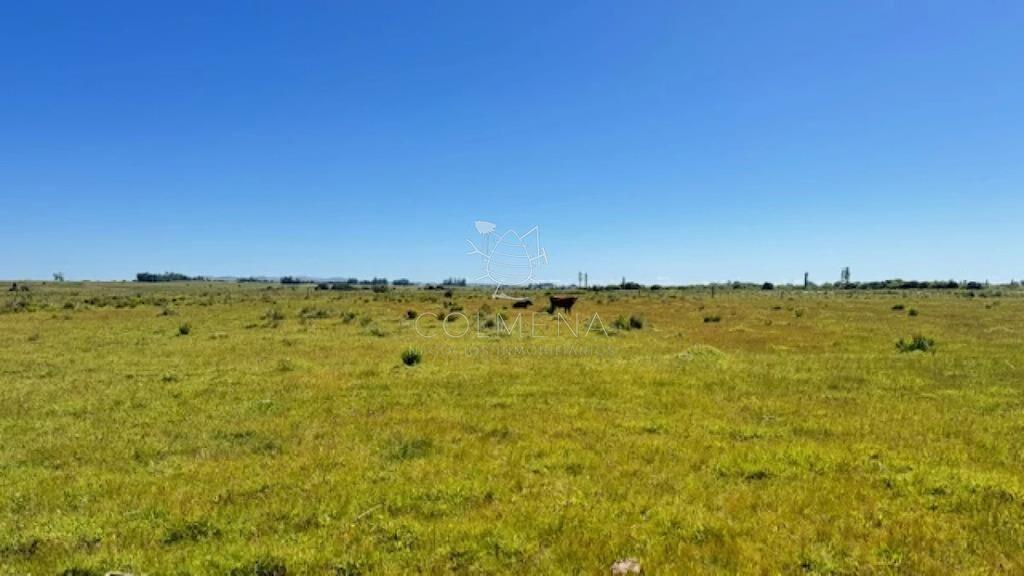 Se venden 2 chacras a 15 km de San Carlos