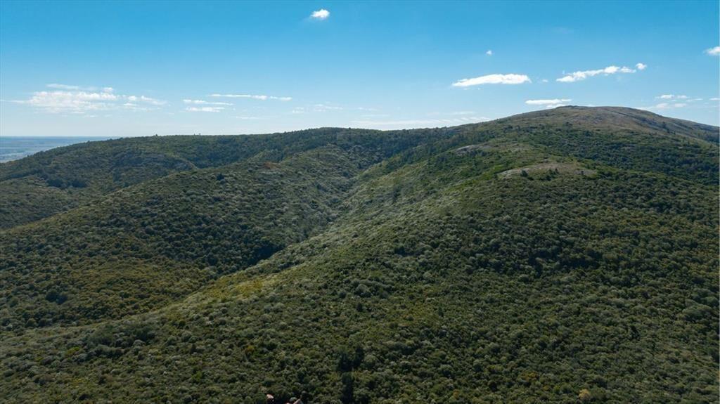 Campo en Venta en Sierra de las Ánimas, Ladera sur