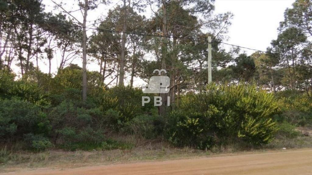 Terreno en venta Chihuahua - Ref : PBI906