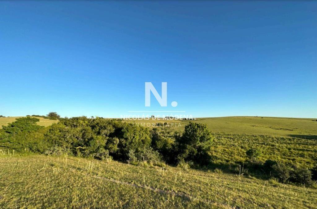 Vende campo de 42 has, en Maldonado Garzon.