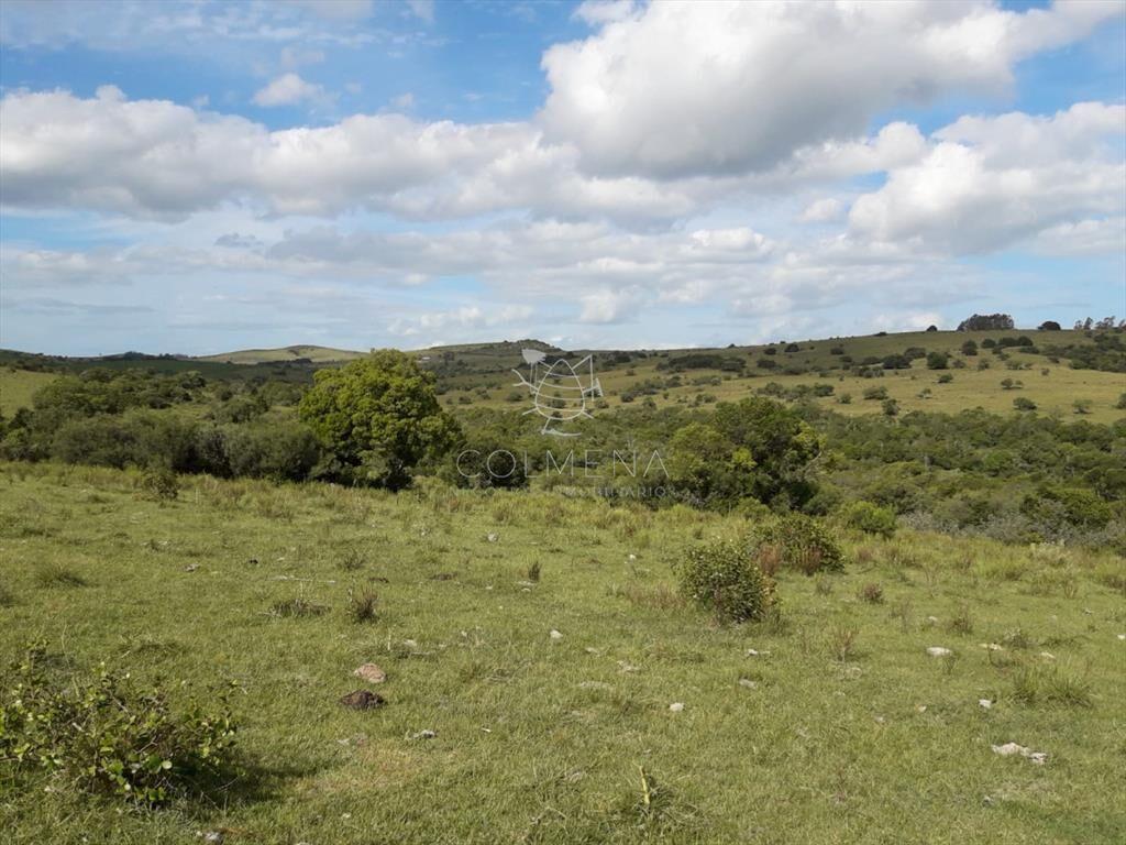 Campo cerca de Pueblo Eden - Consulte !!!!!!!