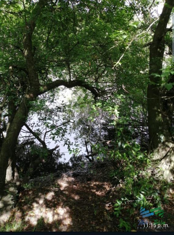 Chacra con arroyo y monte nativo a 10 minutos de