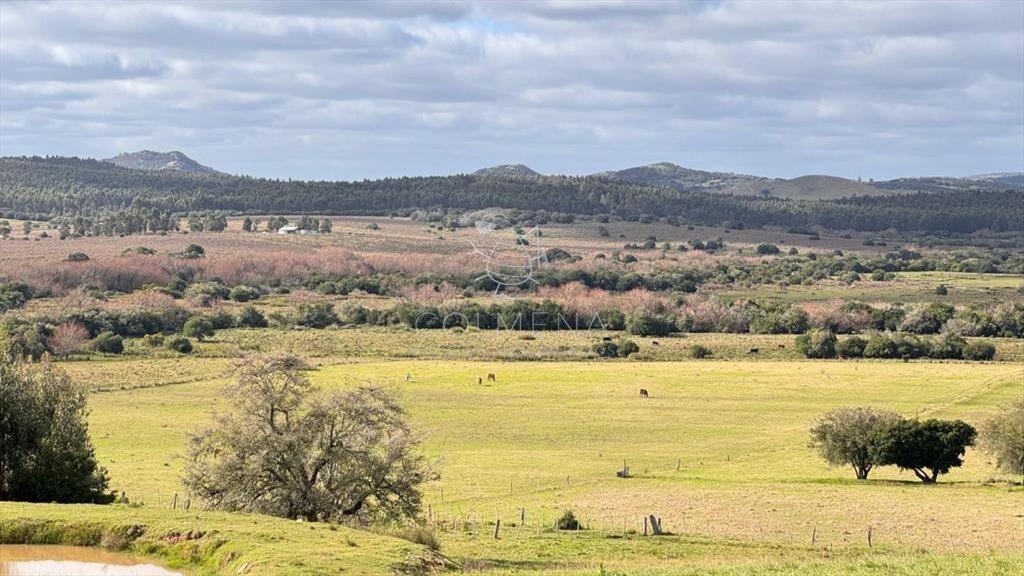 Chacra 5 has en Campanero con buena vistas y