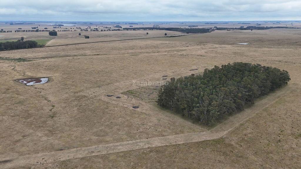 Estancia Ganadera Agrícola 1700 ha en Treinta y Tres