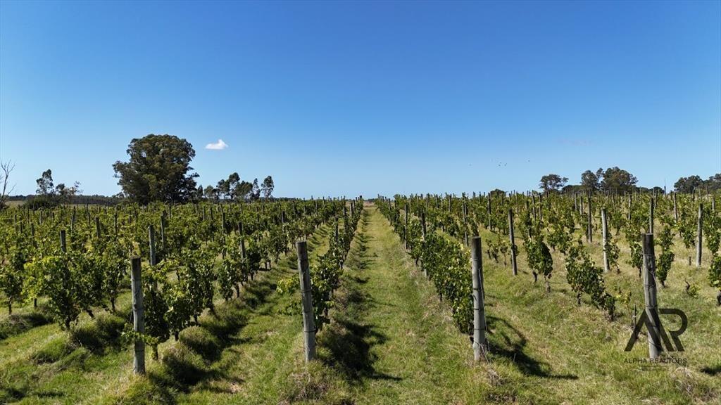 Campo en venta de 69ha ubicado en Atlántida