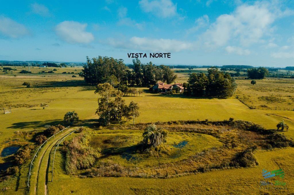 Venta de terreno con 4.000 m2 en La Morenita