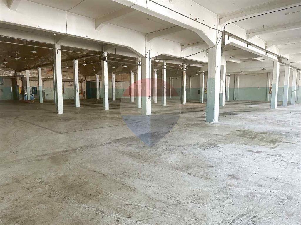 ALQUILER DE DEPÓSITOS VILLA ESPAÑOLA
