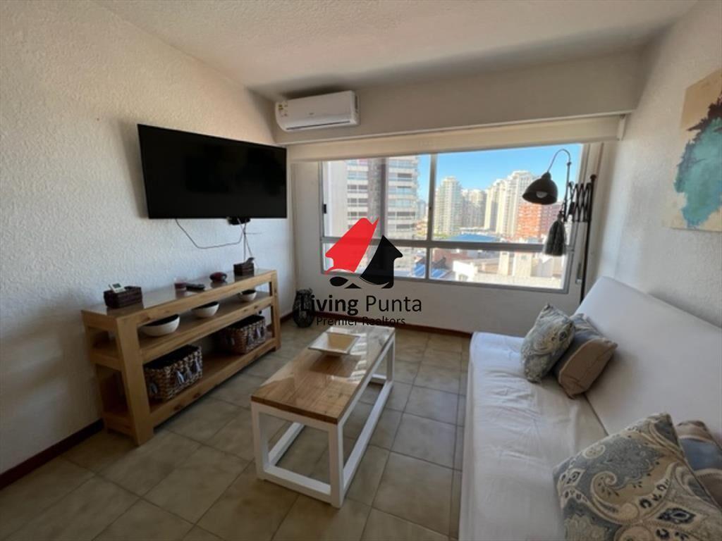 Hermoso apartamento 1 dormitorio con VISTA!
