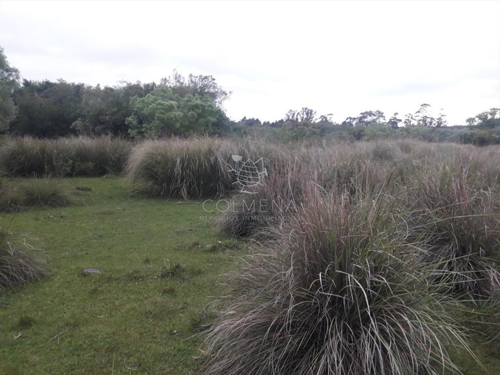 Campo de 47 has en Paraje los Caracoles - !!!!!