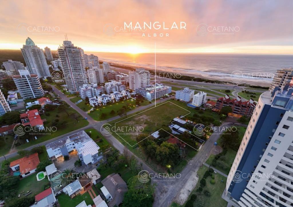 Venta Manglar Albor 2 dormitorios. Playa brava,
