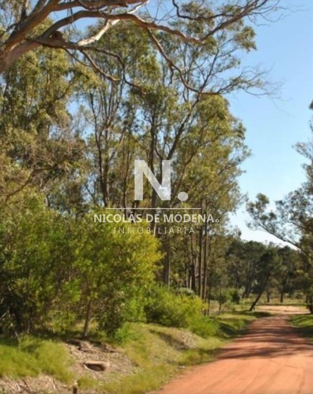 Terreno en venta en Barraverde, apto para bloque