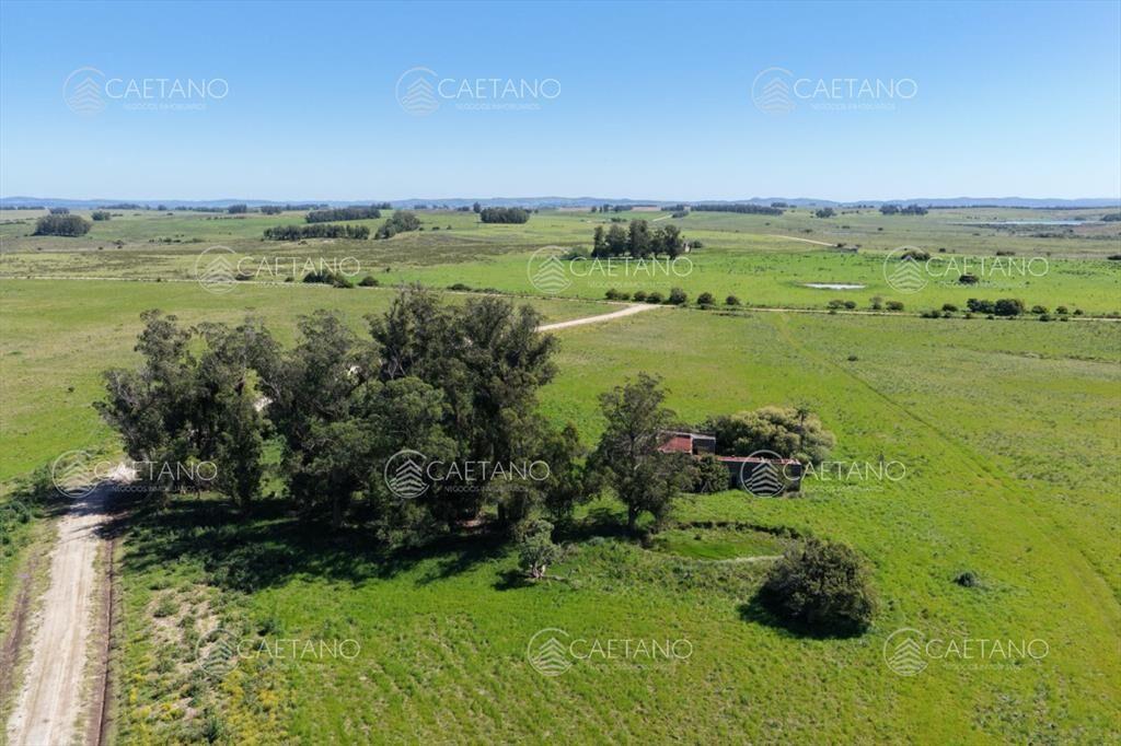 Chacras de 3 hectareas Ama Jose Ignacio , desde