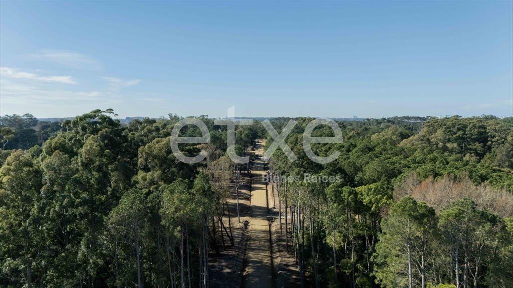 Venta de Terreno en Vilaverde...