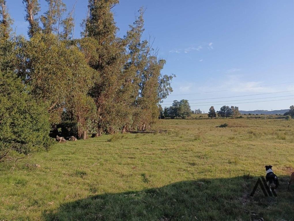 Venta Muy Buen Campo De 78 Hectáreas, Zona Muy Accesible...