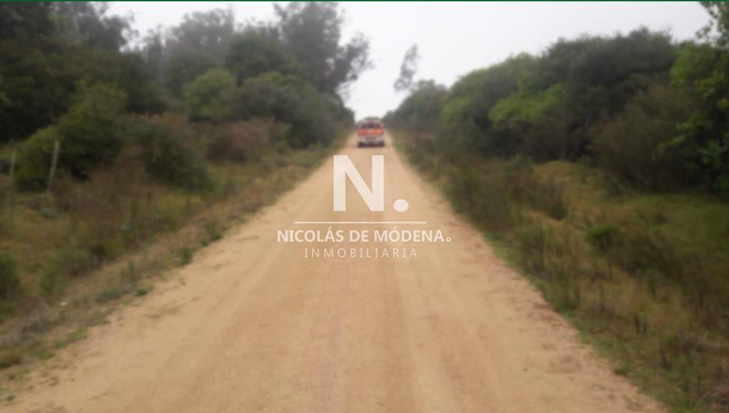 Campo Ganadero en Venta en Aigua