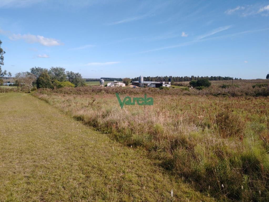 Venta Granja Avícola de 5,6 Has sobre ruta 11
