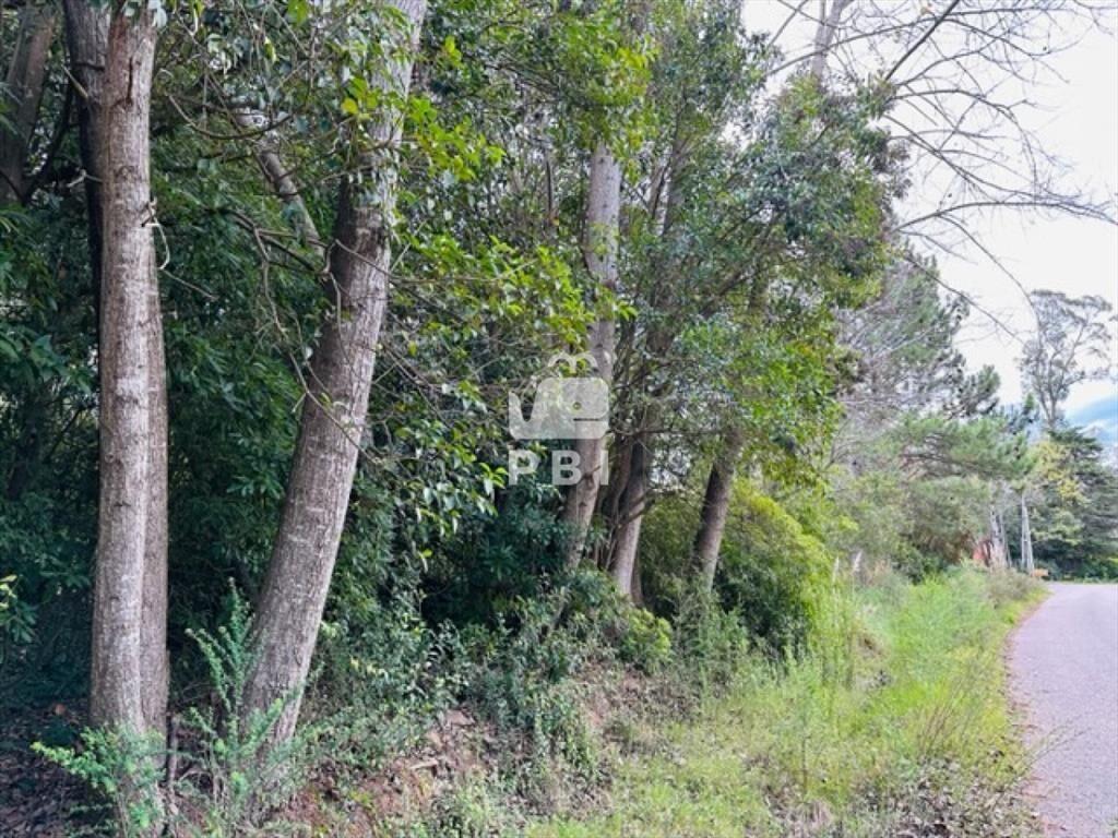 Terreno en Punta Ballena, Santa Hilda. - Ref :