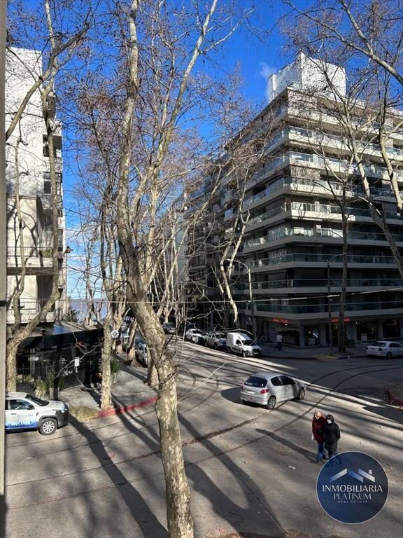 Apartamento 2 dormitorios en alquiler, Pocitos