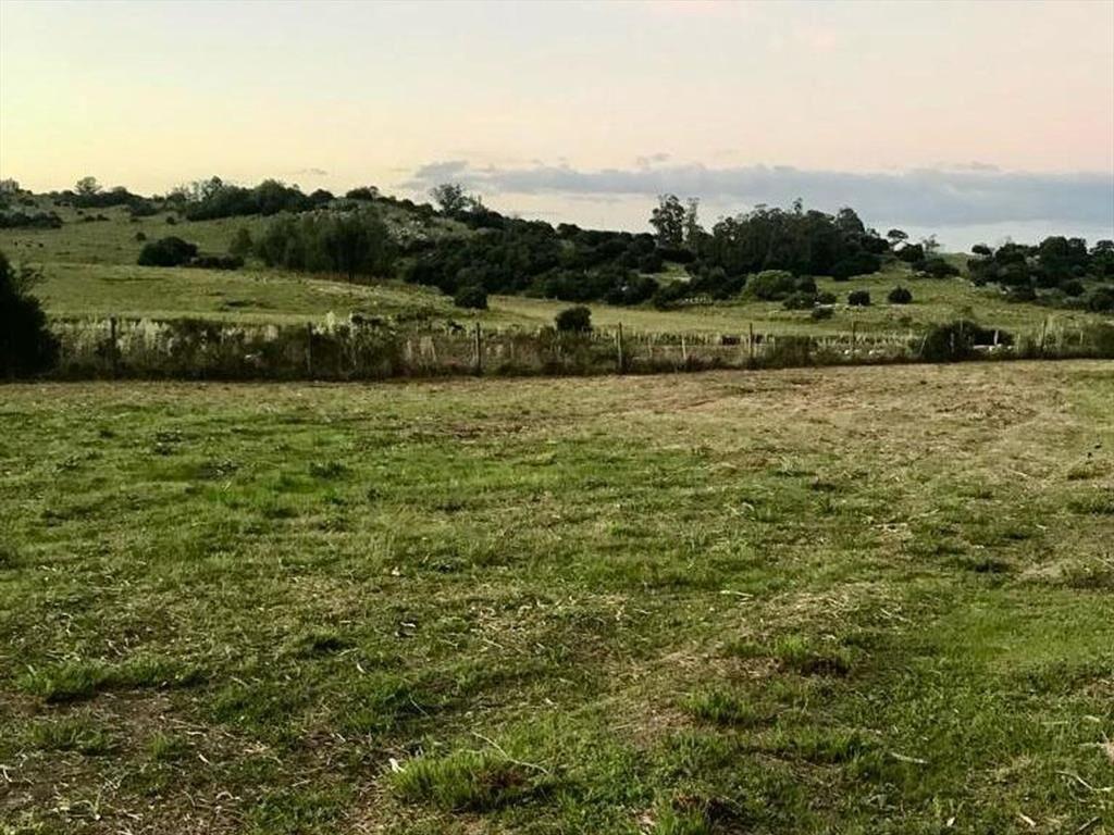 Terreno de 2000mts en venta en Pueblo Edén