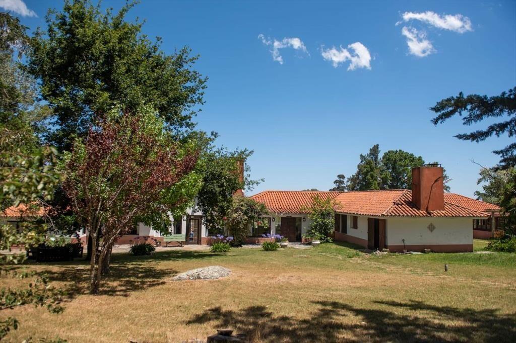 Chacra 20 hectáreas, en venta en laguna del sauce