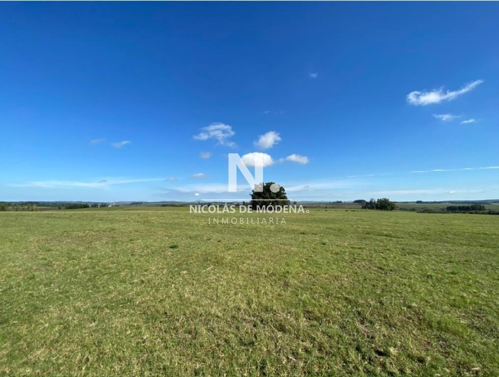 Venta Campo en Maldonado