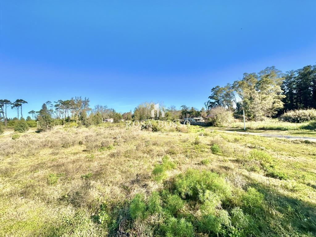 Venta Terreno Punta del Este