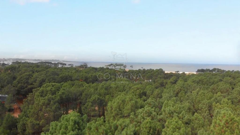 Venta De Terreno En Chihuahua, Punta Ballena