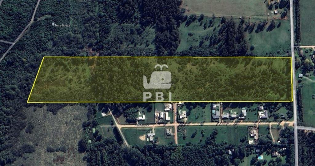 Terreno en Punta Ballena, Maldonado - Ref : PBI13245