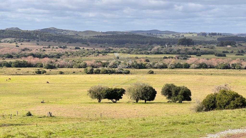 Chacra 5 has en Campanero con buena vistas y