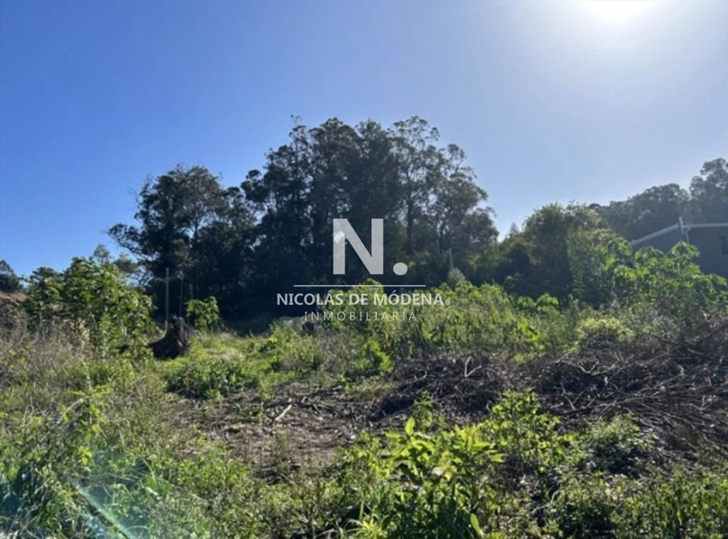 En venta lote de 1130m2 en Grutas, Punta Ballena