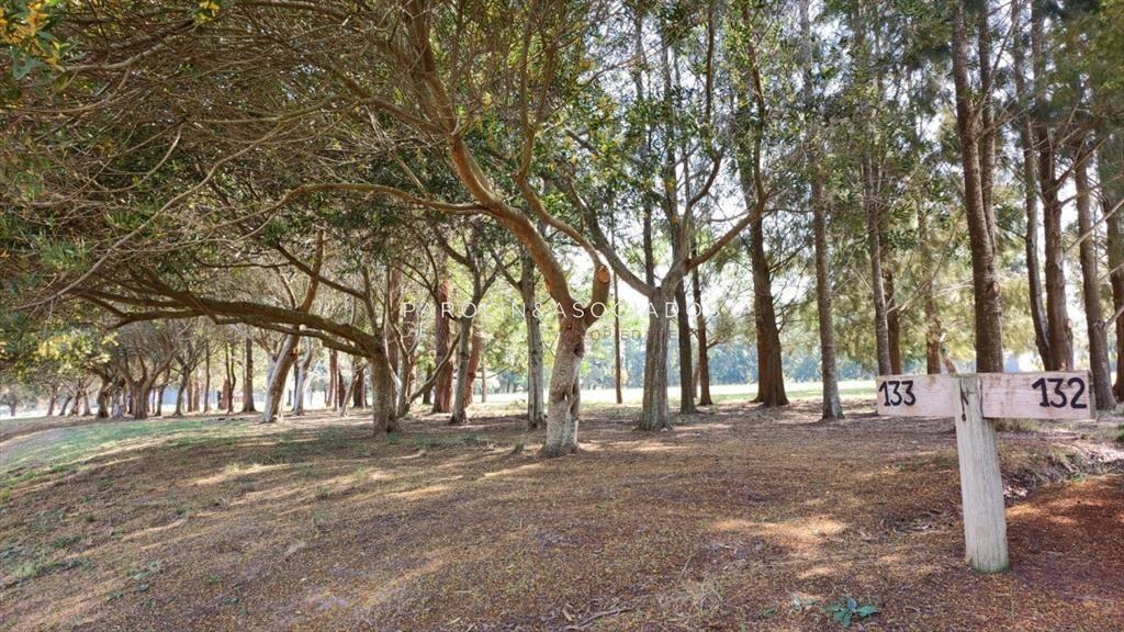Hermoso lote en venta en El Quijote, Punta del