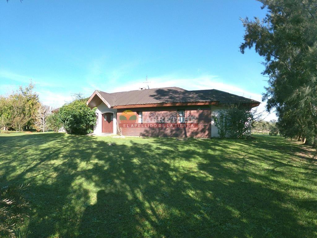 Campo de Olivos en venta, con fábrica de aceite