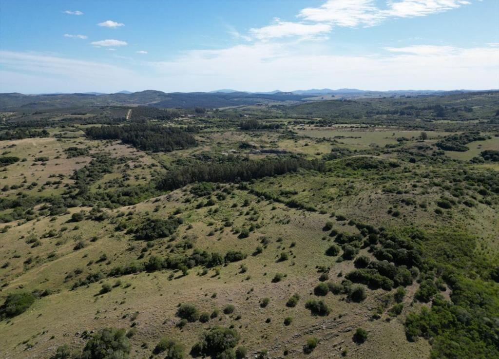 Campo en venta. Zona Pueblo Edén
