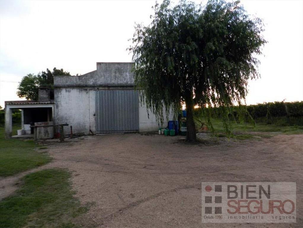 Chacra de 11,7 hás, con bodega y viñedos, en venta próximo