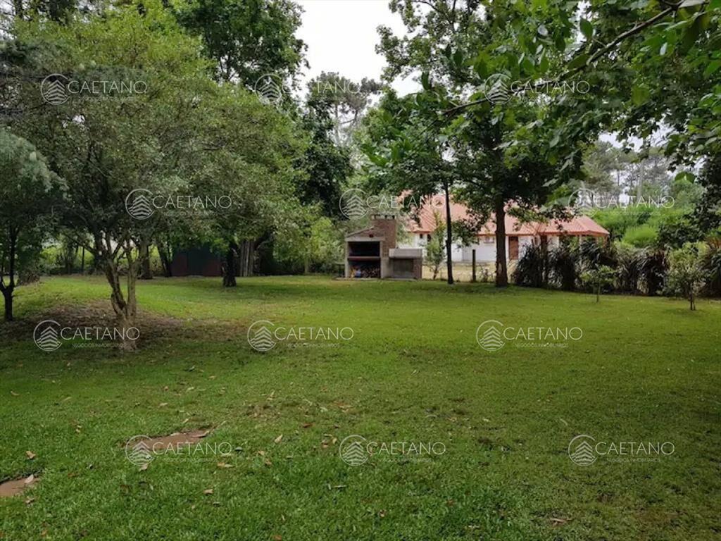 Alquiler de temporada Punta del Este - Zona