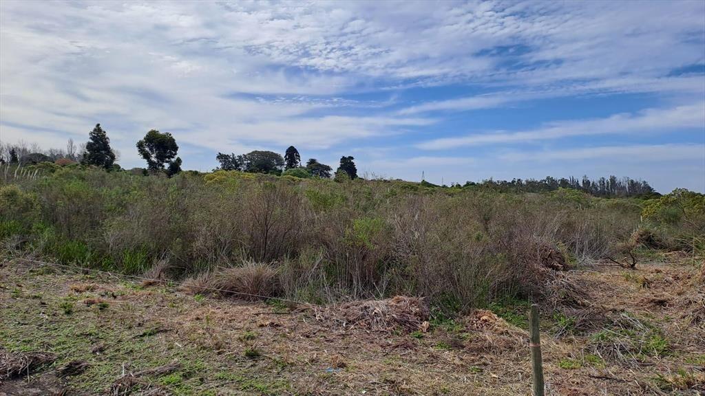 Vendo Campo 200 mts de frente ruta 1